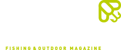 Das Logo des Scale Magazins